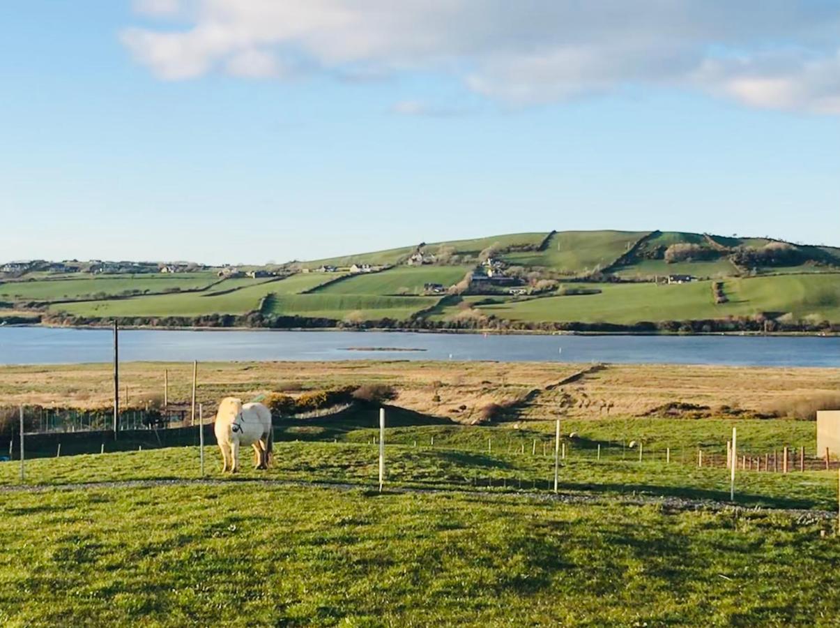 The Snuggly Sheep Shepherd Hut Farm Stay バリシャノン エクステリア 写真