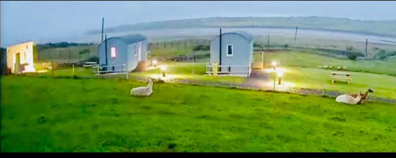 The Snuggly Sheep Shepherd Hut Farm Stay バリシャノン エクステリア 写真